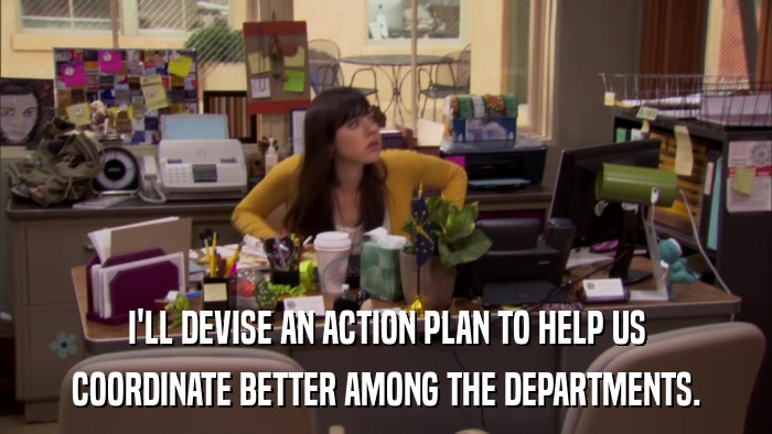 I'LL DEVISE AN ACTION PLAN TO HELP US COORDINATE BETTER AMONG THE DEPARTMENTS. 