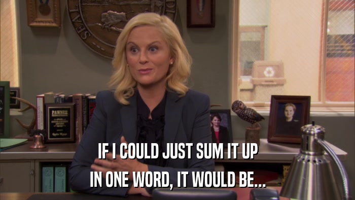 IF I COULD JUST SUM IT UP IN ONE WORD, IT WOULD BE... 
