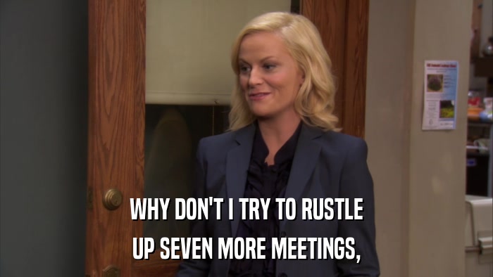 WHY DON'T I TRY TO RUSTLE UP SEVEN MORE MEETINGS, 