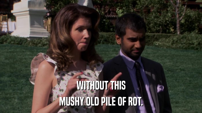 WITHOUT THIS MUSHY OLD PILE OF ROT. 