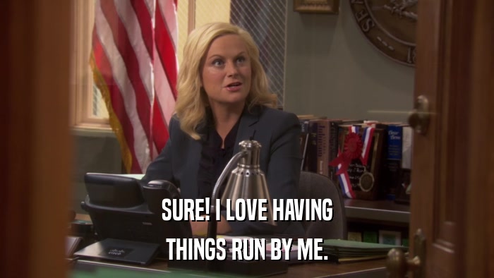 SURE! I LOVE HAVING THINGS RUN BY ME. 