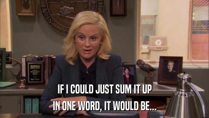 IF I COULD JUST SUM IT UP IN ONE WORD, IT WOULD BE... 