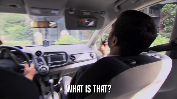 WHAT IS THAT?  