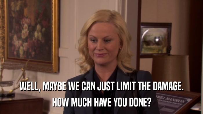 WELL, MAYBE WE CAN JUST LIMIT THE DAMAGE. HOW MUCH HAVE YOU DONE? 