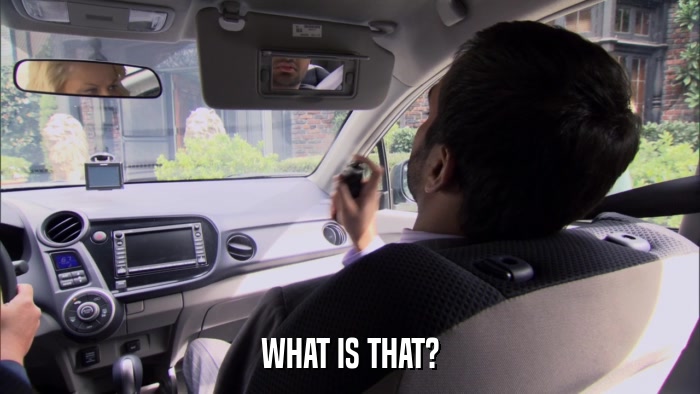 WHAT IS THAT?  