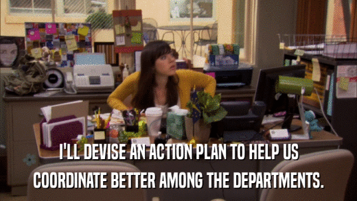 I'LL DEVISE AN ACTION PLAN TO HELP US COORDINATE BETTER AMONG THE DEPARTMENTS. 
