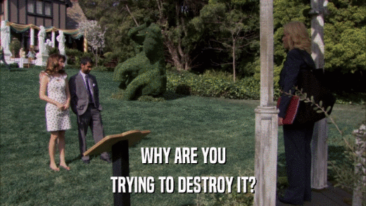 WHY ARE YOU TRYING TO DESTROY IT? 