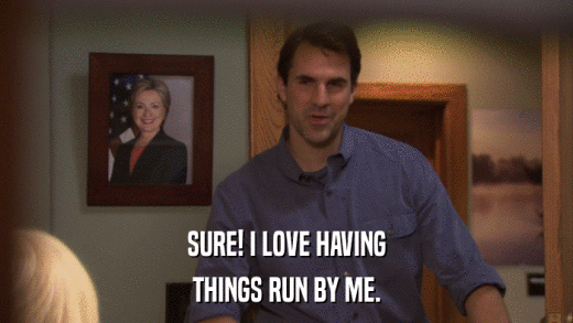 SURE! I LOVE HAVING THINGS RUN BY ME. 