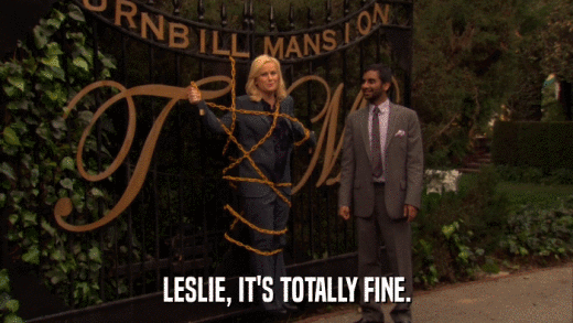 LESLIE, IT'S TOTALLY FINE.  