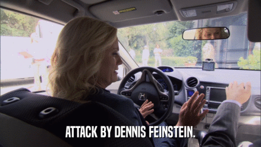 ATTACK BY DENNIS FEINSTEIN.  