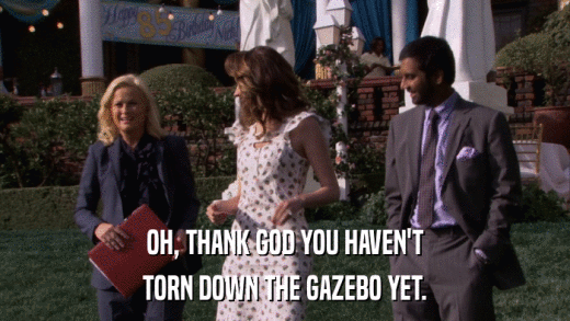 OH, THANK GOD YOU HAVEN'T TORN DOWN THE GAZEBO YET. 