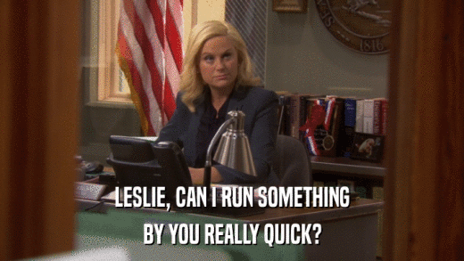 LESLIE, CAN I RUN SOMETHING BY YOU REALLY QUICK? 