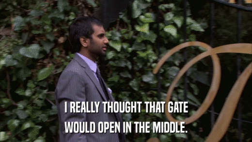 I REALLY THOUGHT THAT GATE WOULD OPEN IN THE MIDDLE. 