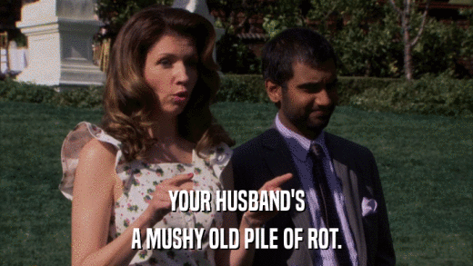 YOUR HUSBAND'S A MUSHY OLD PILE OF ROT. 