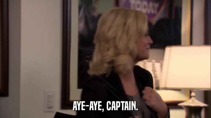 AYE-AYE, CAPTAIN.  