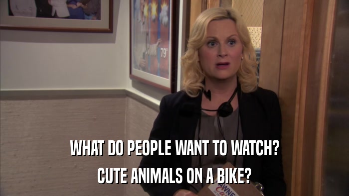 WHAT DO PEOPLE WANT TO WATCH? CUTE ANIMALS ON A BIKE? 