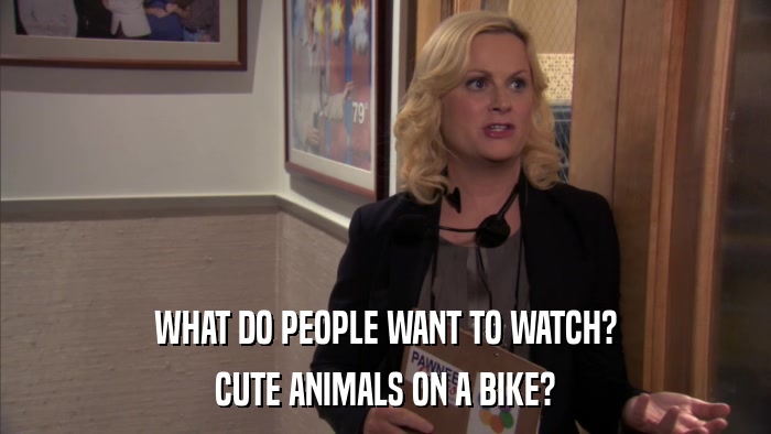 WHAT DO PEOPLE WANT TO WATCH? CUTE ANIMALS ON A BIKE? 