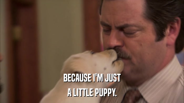 BECAUSE I'M JUST A LITTLE PUPPY. 