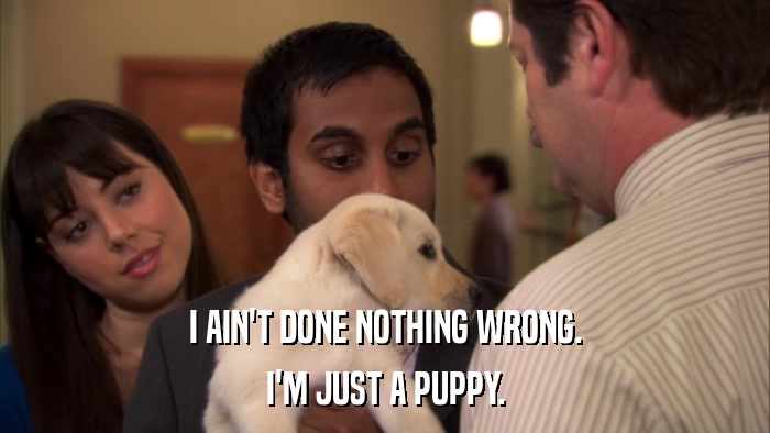 I AIN'T DONE NOTHING WRONG. I'M JUST A PUPPY. 