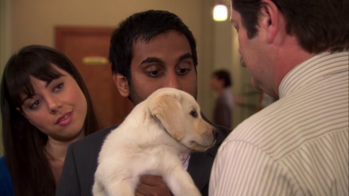 I AIN'T DONE NOTHING WRONG. I'M JUST A PUPPY. 
