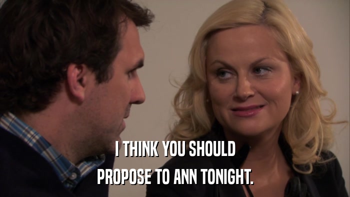 I THINK YOU SHOULD PROPOSE TO ANN TONIGHT. 