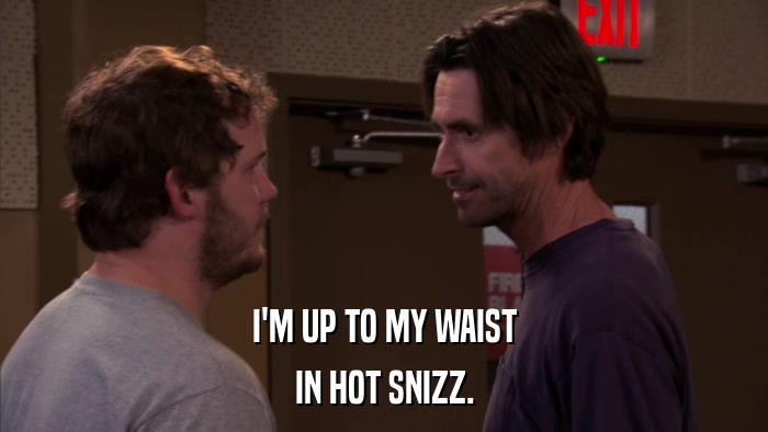 I'M UP TO MY WAIST IN HOT SNIZZ. 