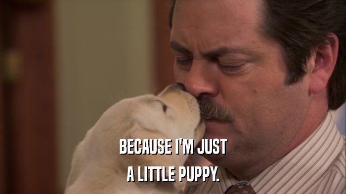 BECAUSE I'M JUST A LITTLE PUPPY. 