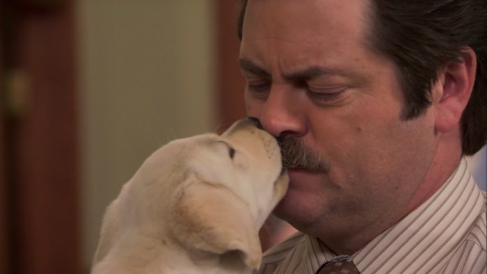 BECAUSE I'M JUST A LITTLE PUPPY. 