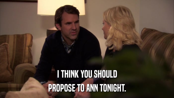 I THINK YOU SHOULD PROPOSE TO ANN TONIGHT. 