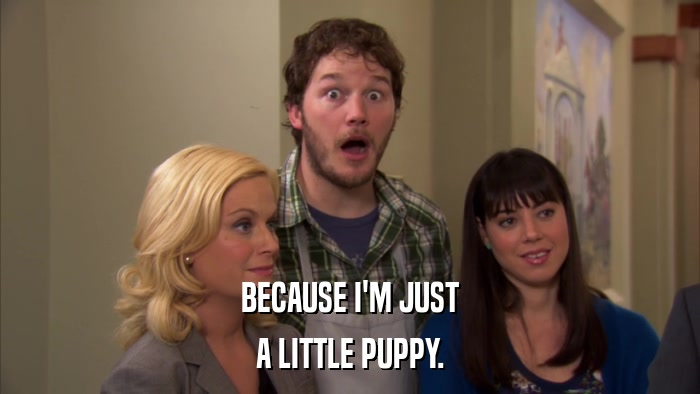 BECAUSE I'M JUST A LITTLE PUPPY. 