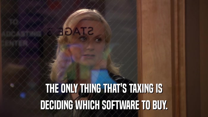 THE ONLY THING THAT'S TAXING IS DECIDING WHICH SOFTWARE TO BUY. 