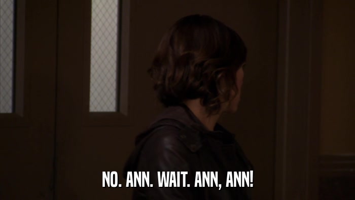 NO. ANN. WAIT. ANN, ANN!  