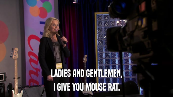 LADIES AND GENTLEMEN, I GIVE YOU MOUSE RAT. 