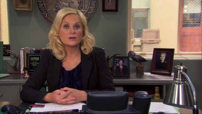 EVERY YEAR, PAWNEE CARES TEAMS UP WITH THE LOCAL CABLE ACCESS STATION 