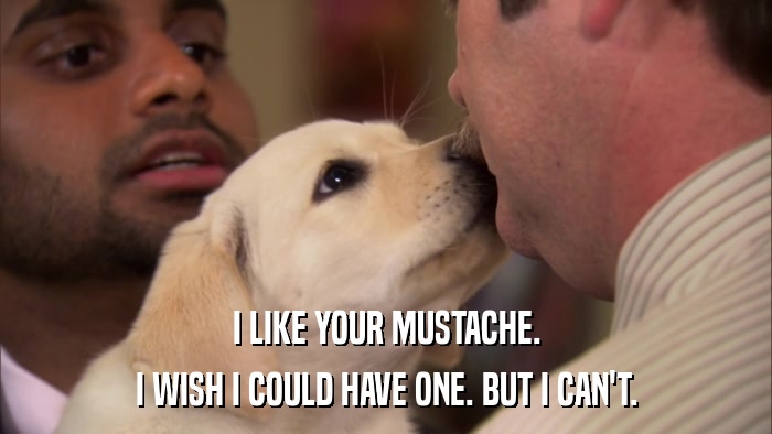 I LIKE YOUR MUSTACHE. I WISH I COULD HAVE ONE. BUT I CAN'T. 