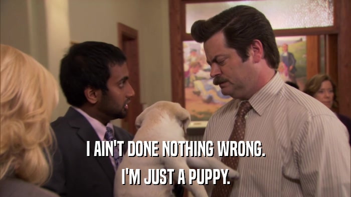 I AIN'T DONE NOTHING WRONG. I'M JUST A PUPPY. 