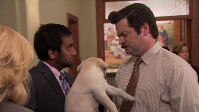 I AIN'T DONE NOTHING WRONG. I'M JUST A PUPPY. 