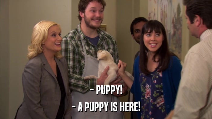 - PUPPY! - A PUPPY IS HERE! 