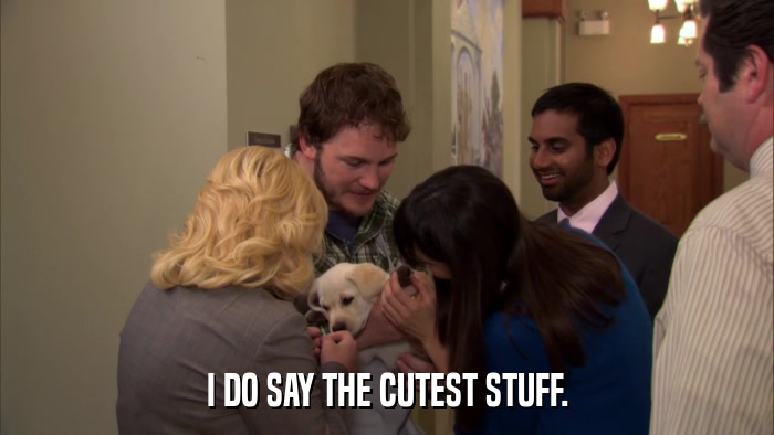I DO SAY THE CUTEST STUFF.  
