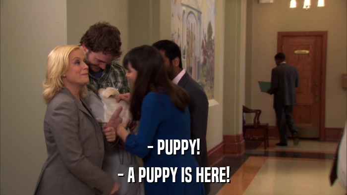 - PUPPY! - A PUPPY IS HERE! 