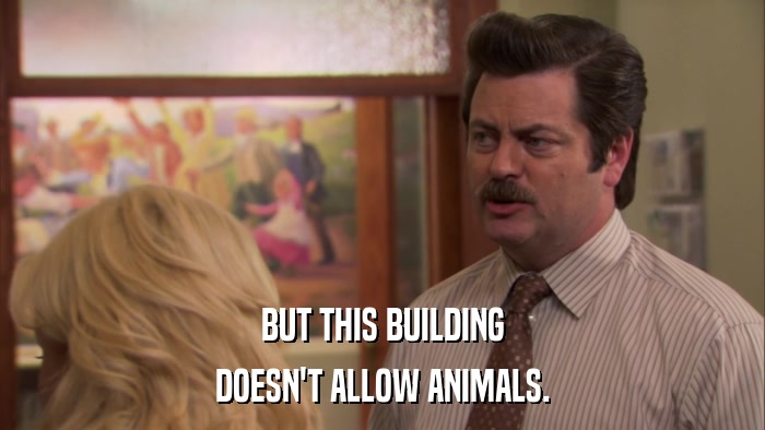 BUT THIS BUILDING DOESN'T ALLOW ANIMALS. 