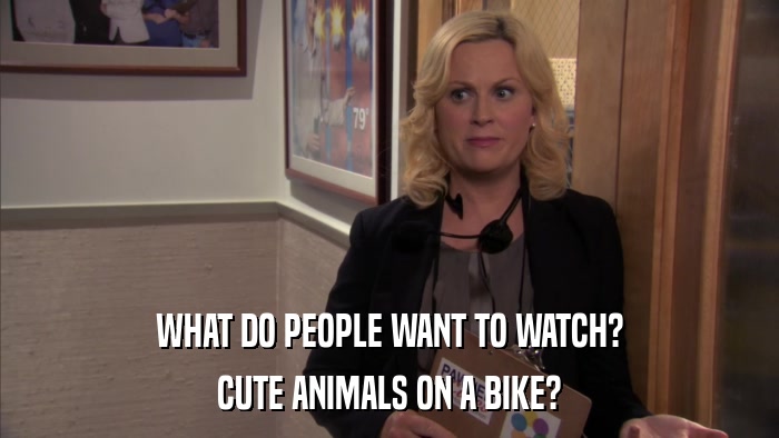 WHAT DO PEOPLE WANT TO WATCH? CUTE ANIMALS ON A BIKE? 