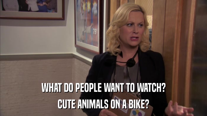 WHAT DO PEOPLE WANT TO WATCH? CUTE ANIMALS ON A BIKE? 