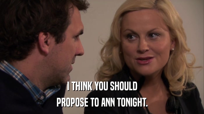 I THINK YOU SHOULD PROPOSE TO ANN TONIGHT. 