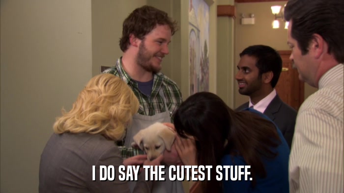 I DO SAY THE CUTEST STUFF.  