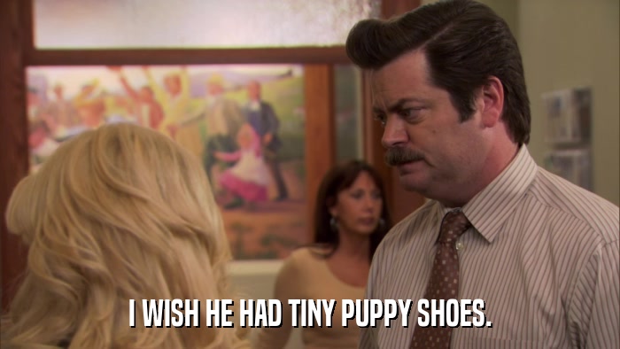 I WISH HE HAD TINY PUPPY SHOES.  