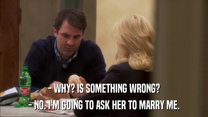 - WHY? IS SOMETHING WRONG? - NO. I'M GOING TO ASK HER TO MARRY ME. 
