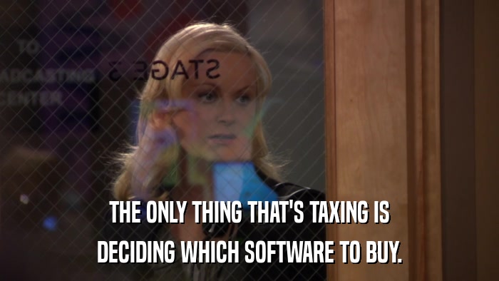 THE ONLY THING THAT'S TAXING IS DECIDING WHICH SOFTWARE TO BUY. 