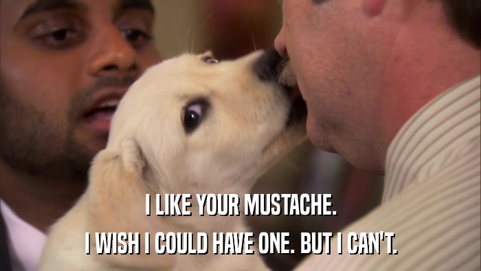 I LIKE YOUR MUSTACHE. I WISH I COULD HAVE ONE. BUT I CAN'T. 