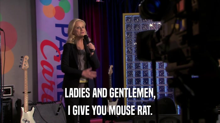 LADIES AND GENTLEMEN, I GIVE YOU MOUSE RAT. 